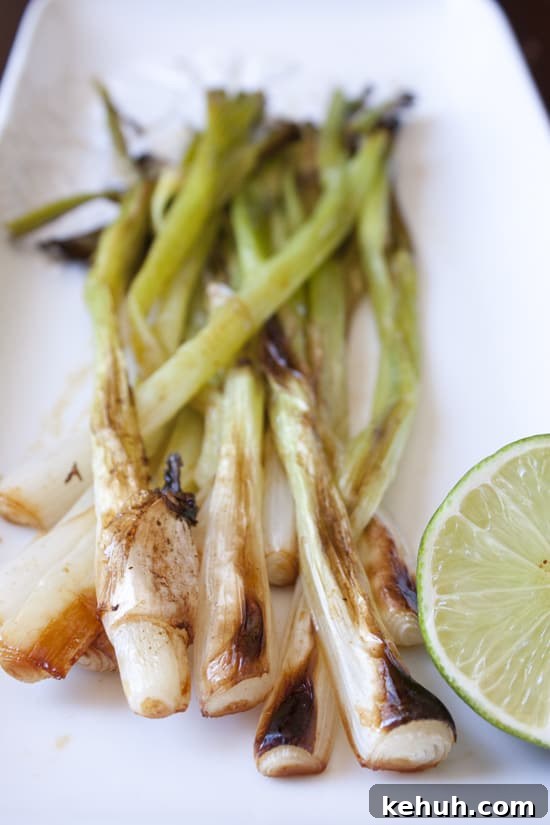 Top Memorial Day Recipes for Grilling, Sides, and Desserts 12 img 33565 11