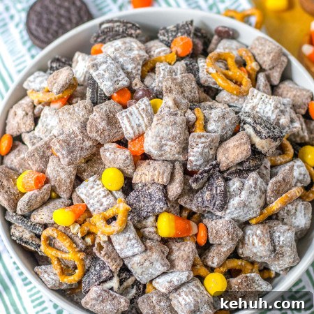 Autumn Puppy Chow: Cozy No-Bake Snack Mix Recipe 9 Fall puppy chow served in a large white bowl