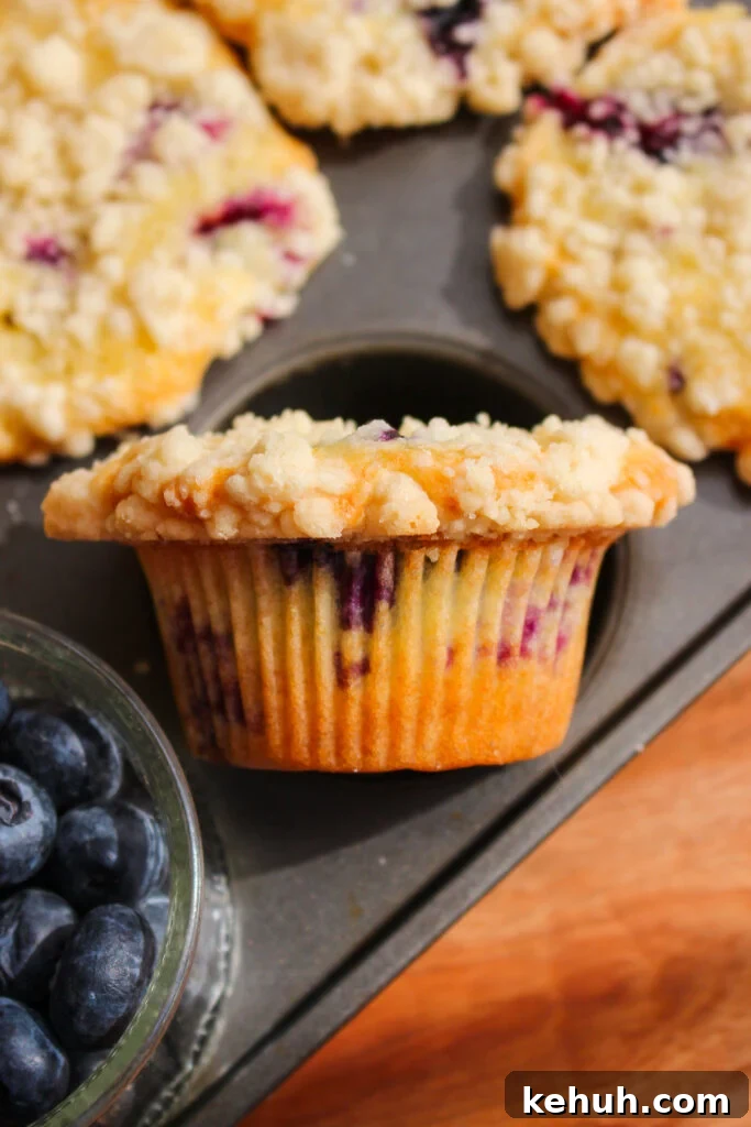 Moist Olive Oil Blueberry Muffins Recipe 5 img 34910 18