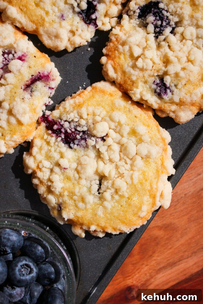 Moist Olive Oil Blueberry Muffins Recipe 3 img 34910 2