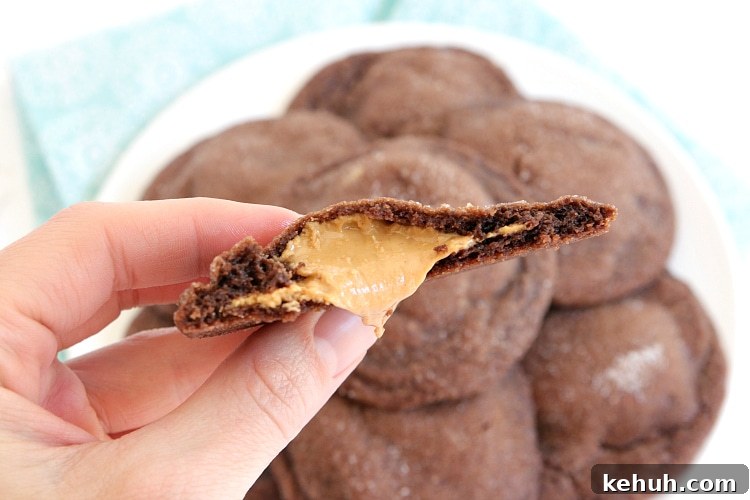 Buckeye Cookie Recipe: Rich Chocolate Peanut Butter Treats 3 Chocolate cookies with a peanut butter filling