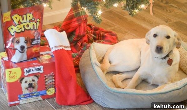 DIY Dog Stocking: How to Sew a Personalized Christmas Stocking for Your Pup 12 img 42691 11
