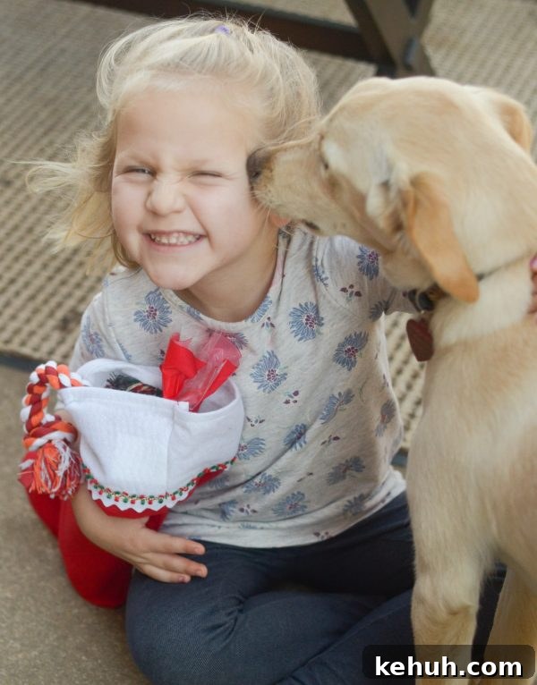 DIY Dog Stocking: How to Sew a Personalized Christmas Stocking for Your Pup 10 Make a Stocking for the Pups