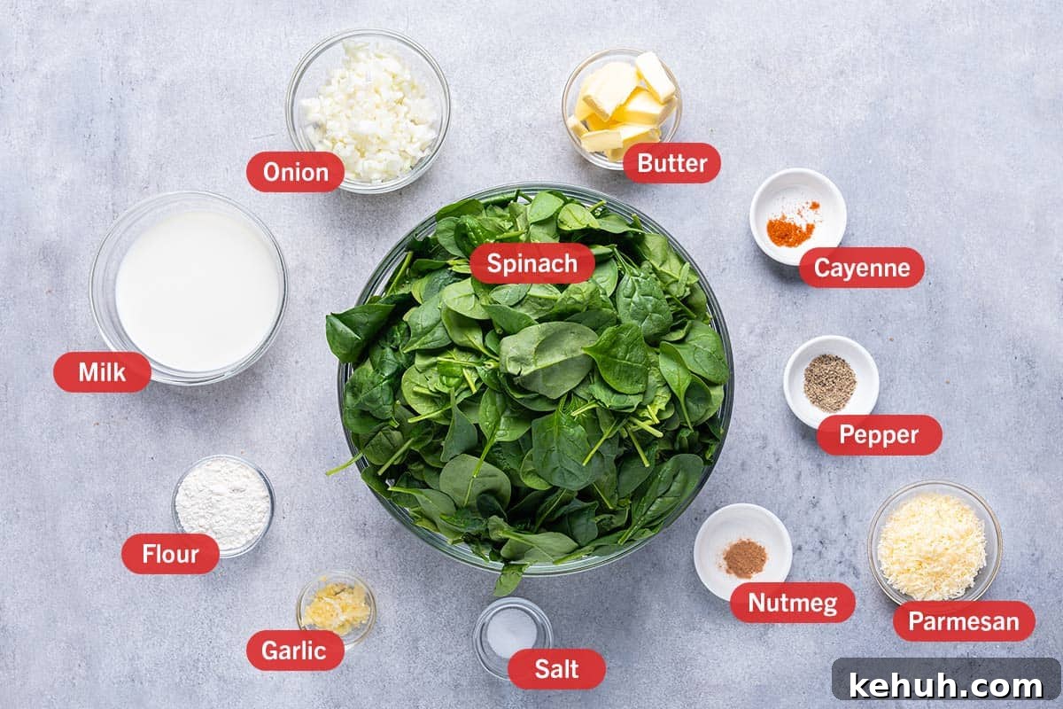 Creamy Parmesan Spinach Recipe — Quick Sautéed Side Dish 3 white background with ingredirents laid out, onion, butter, cayenne, milk, spinach, pepper, flour, garlic, salt, nutmeg, parmesan