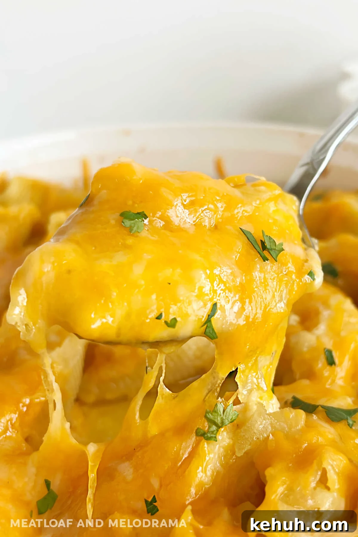 Pierogi-Stuffed Shells with Creamy Potato & Cheddar Filling 2 pierogi stuffed shells with melted cheddar cheese and parsley on serving spoon