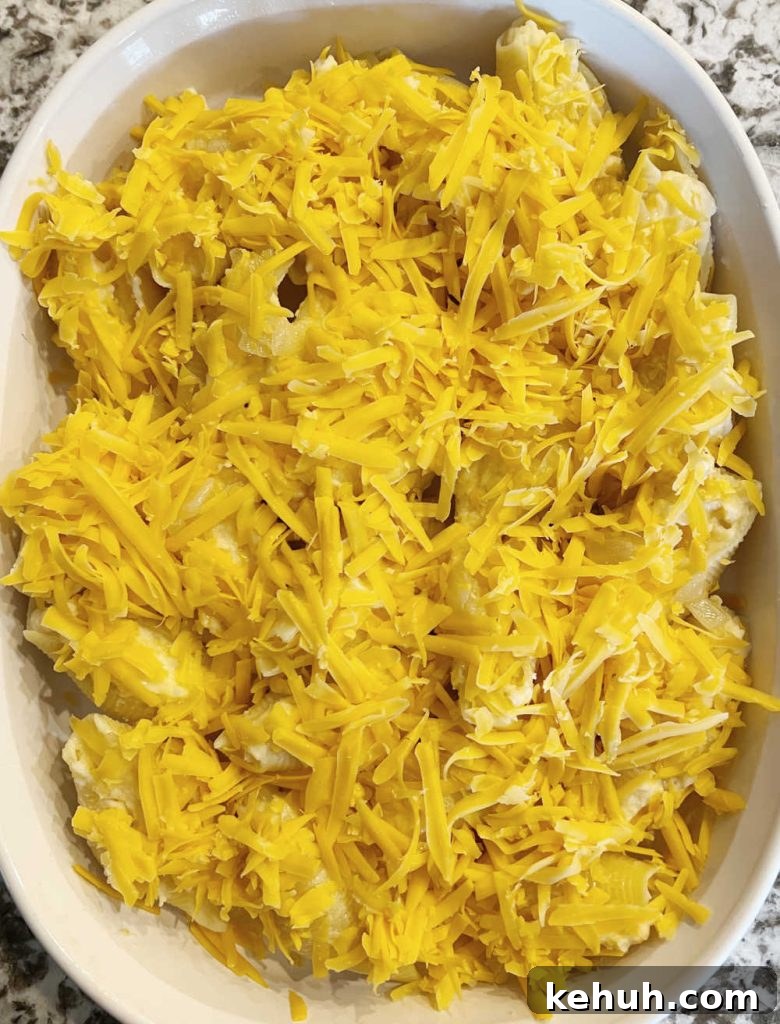 Pierogi-Stuffed Shells with Creamy Potato & Cheddar Filling 6 pierogi stuffed shells topped with shredded cheddar cheese in casserole dish