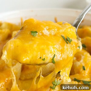 Pierogi-Stuffed Shells with Creamy Potato & Cheddar Filling 7 pierogi stuffed shells with cheddar cheese on a serving spoon