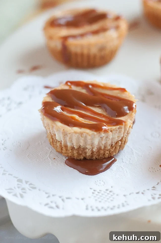 Mini Caramel Cheesecake Bites Recipe — Bite-Sized Dessert Ideas 2 Mini Caramel Cheesecake Bites