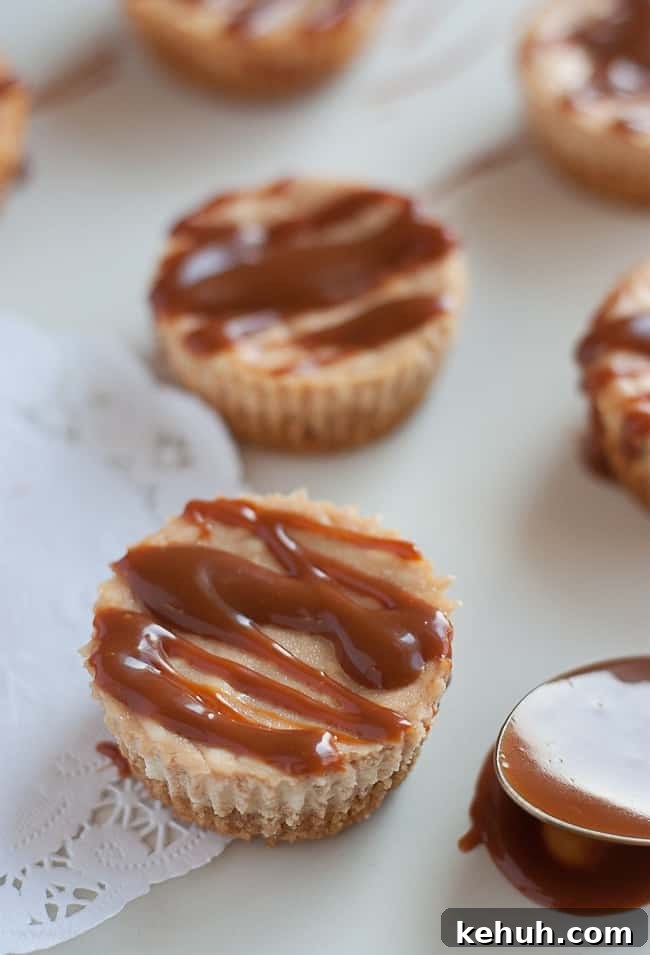 Mini Caramel Cheesecake Bites Recipe — Bite-Sized Dessert Ideas 5 Mini Caramel Cheesecake Bites from Design Eat Repeat
