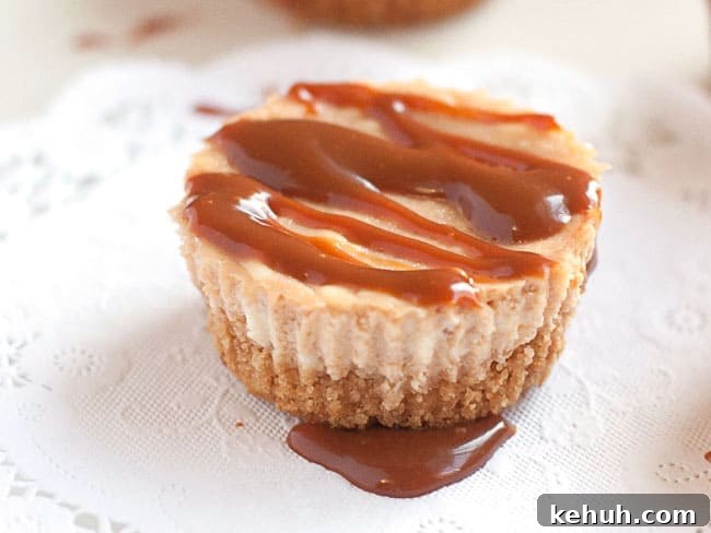Mini Caramel Cheesecake Bites Recipe — Bite-Sized Dessert Ideas 8 img 4711 7
