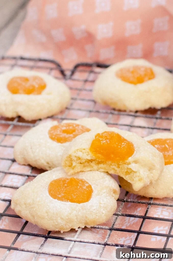 Thumbprint Cookies with Jam, Curd, or Chocolate Filling 2 Passion fruit curd thumbprint cookies sprinkled with icing sugar and a bite taken out of one.