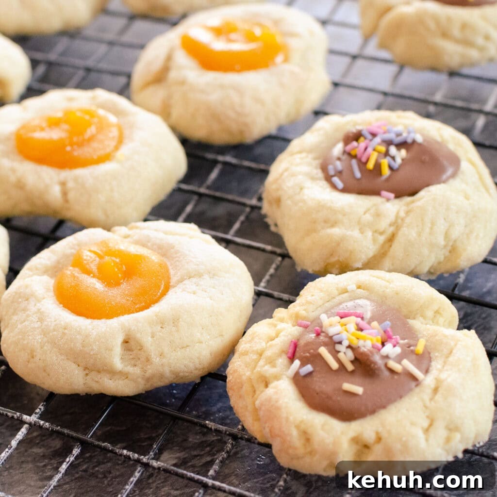 Thumbprint Cookies with Jam, Curd, or Chocolate Filling 3 Thumbprint Cookies some filled with lemon curd and some with chocolate spread and sprinkles