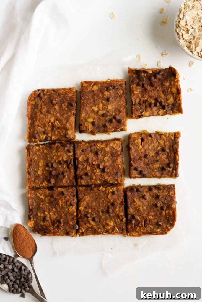 Chocolate Chip Pumpkin Oatmeal Breakfast Bars — Simple Recipe 2 chocolate chip pumpkin oatmeal bars