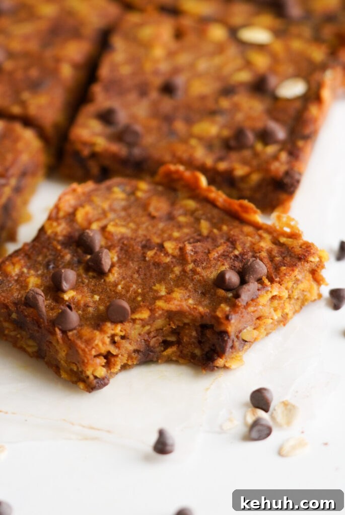Chocolate Chip Pumpkin Oatmeal Breakfast Bars — Simple Recipe 3 pumpkin oatmeal bars