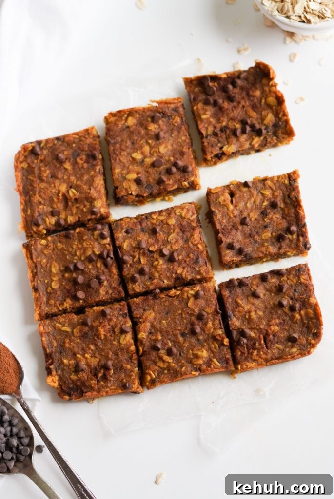 Chocolate Chip Pumpkin Oatmeal Breakfast Bars — Simple Recipe 6 chocolate chip pumpkin oatmeal bars