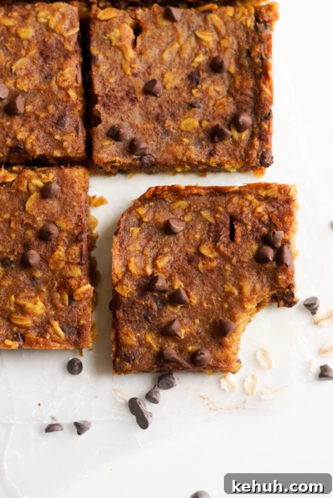 Chocolate Chip Pumpkin Oatmeal Breakfast Bars — Simple Recipe 7 pumpkin bars