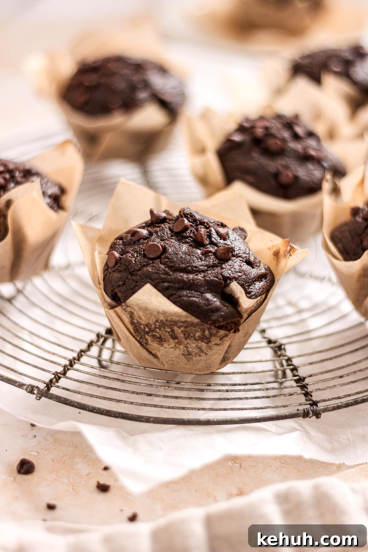 Double Chocolate Espresso Banana Muffins Recipe 2 double chocolate banana muffins with chocolate chips