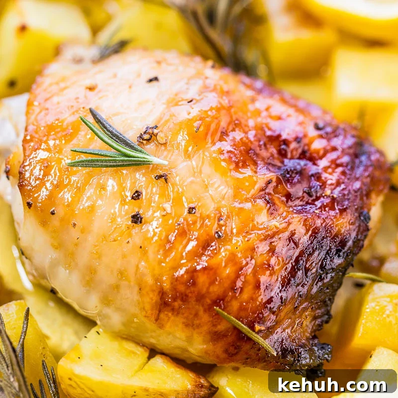 Roasted chicken thigh with herbs on a bed of diced potatoes.