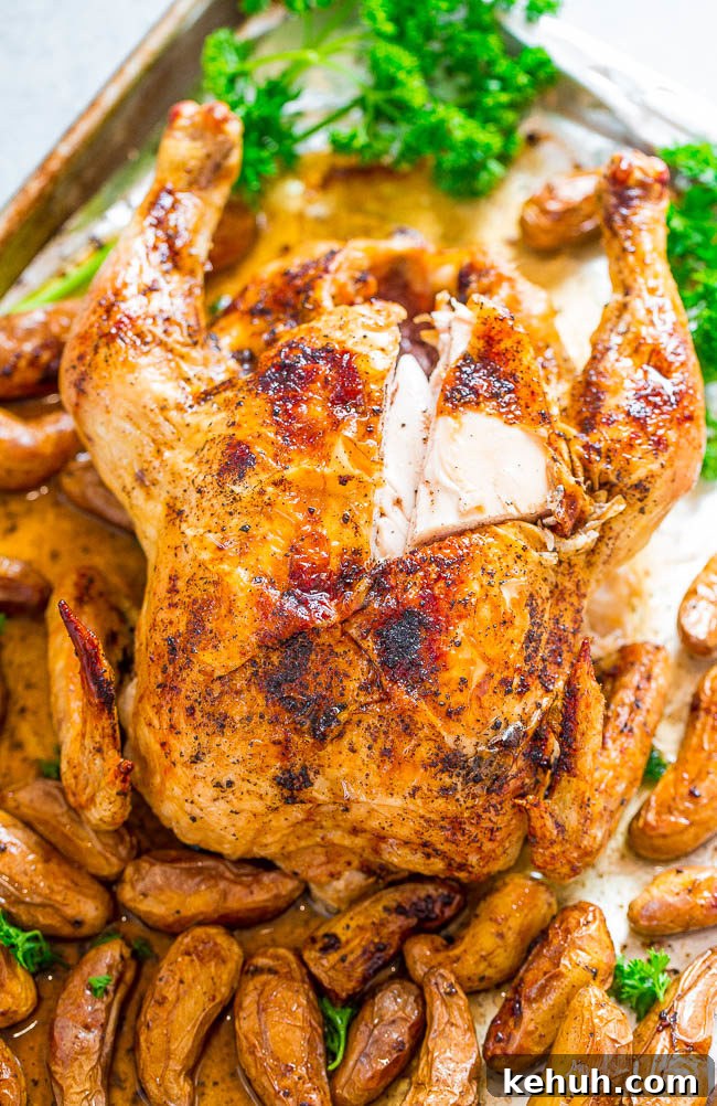Honey Lemon Chicken with Crispy Roasted Potatoes 8 img 55715 7
