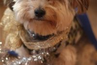 Tis the Season: Holiday Gift Ideas and Festive Tips