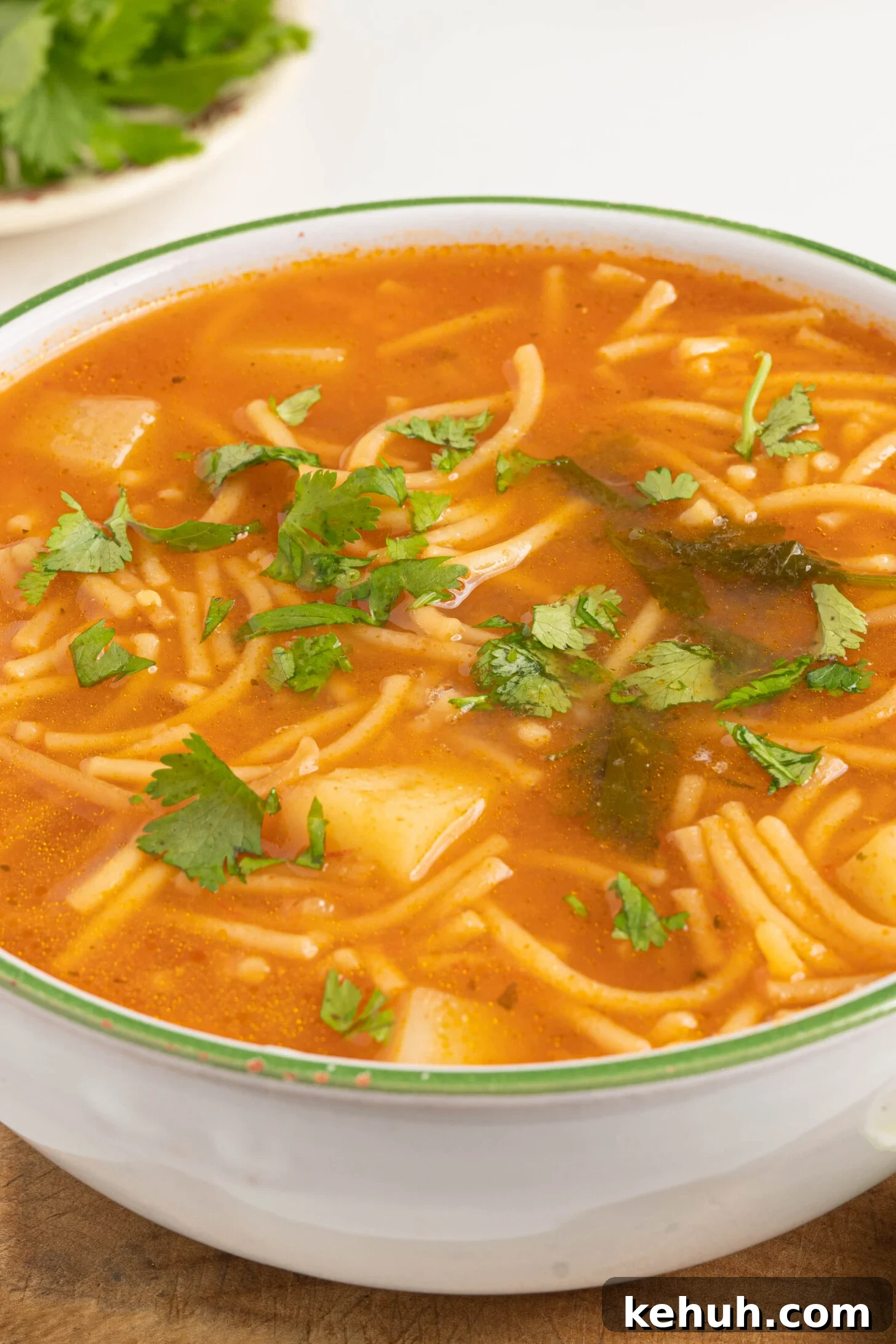 Sope de Fideo: Mexican Vermicelli Soup with Fresh Tomatoes 14 A bowl of sopa de fideo.