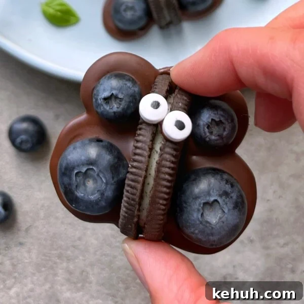 A hand holds a butterfly-shaped treat made of an Oreo cookie, blueberries, chocolate, and two small candy eyes—perfect for fun food recipes. More blueberries and a plate are in the background.