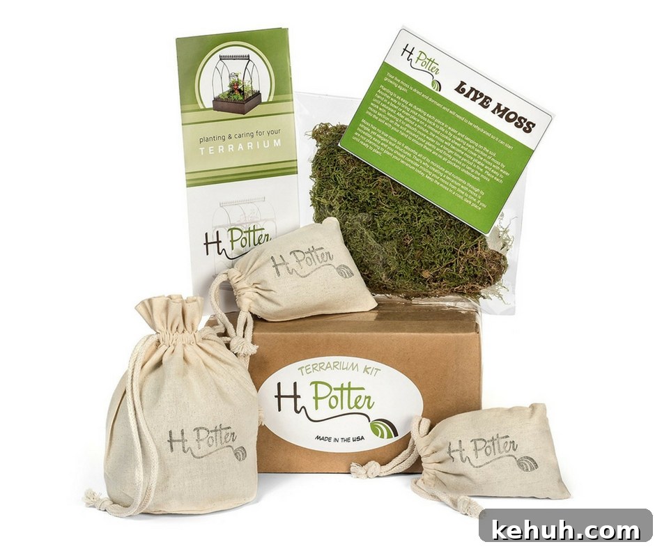 Paris Gift Guide: Perfect Presents for Lovers of Paris 14 Terrarium Starter Kit.