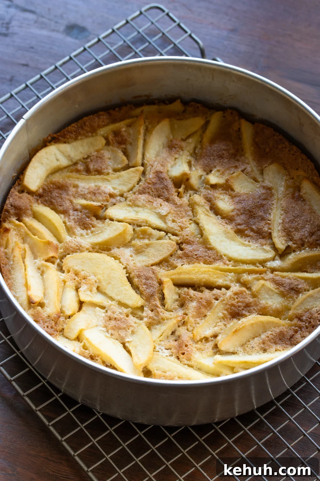 Pear caked cooked and still in the springform waiting to cool off