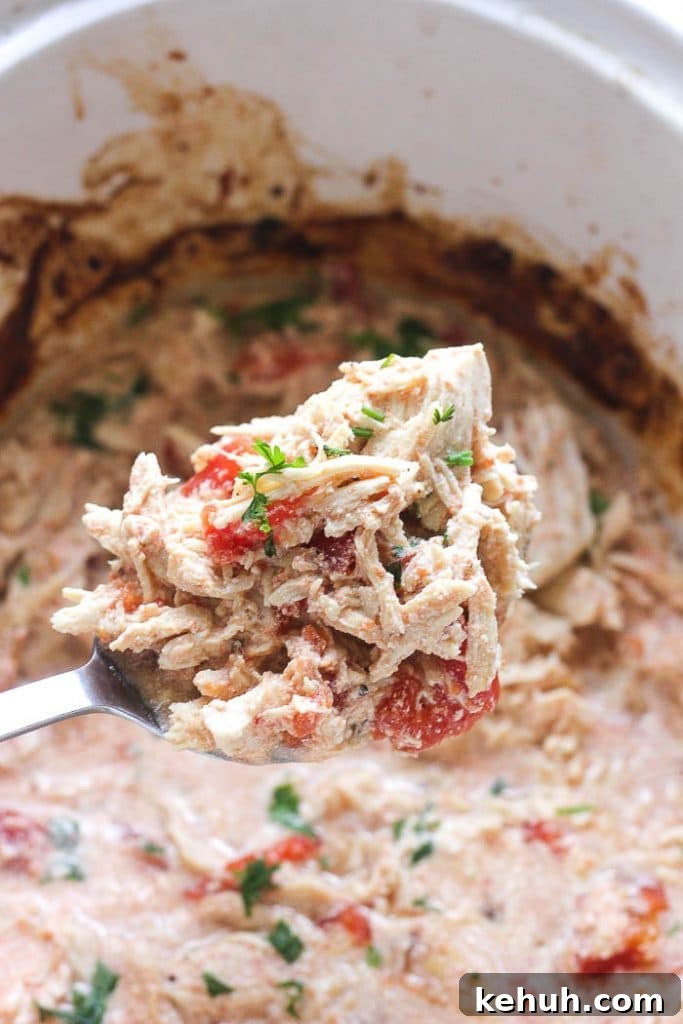 20 Low-Cost Keto Meals for Budget-Friendly Weight Loss 11 Slow Cooker Mexican Chicken