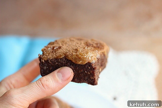 XXX Raw Sticky Brownie Bars (Vegan, Paleo) 3