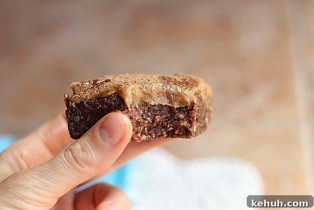XXX Raw Sticky Brownie Bars (Vegan, Paleo) 1