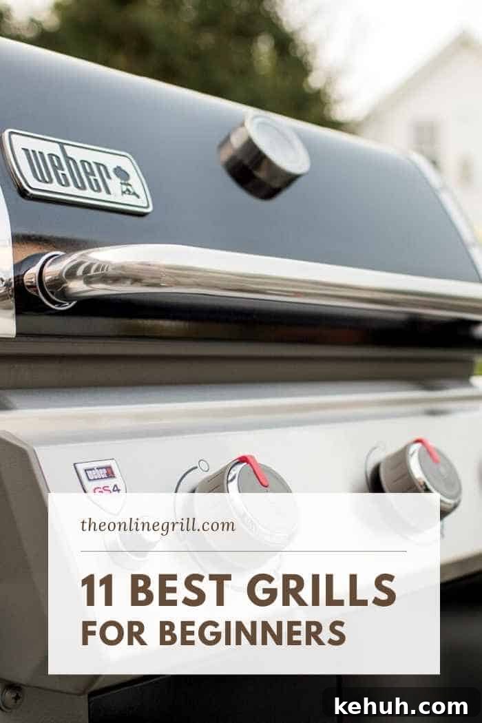 Top Grills for Beginners 2026: Top-Rated BBQ Picks & Reviews 2 Best Grills for Beginners