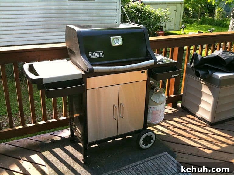 Top Grills for Beginners 2026: Top-Rated BBQ Picks & Reviews 8 weber spirit 210