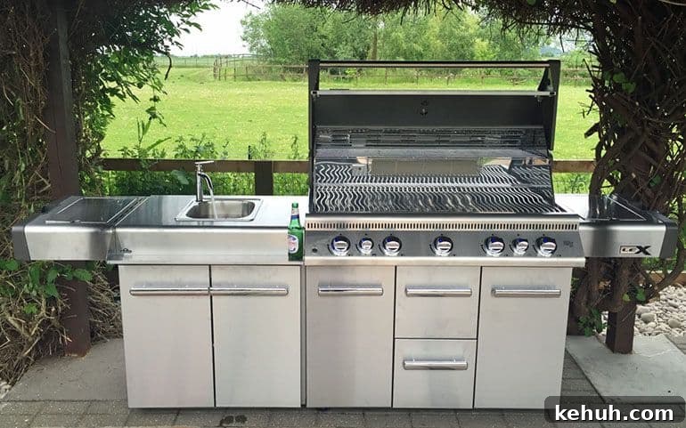 Top Grills for Beginners 2026: Top-Rated BBQ Picks & Reviews 11 napoleon performance