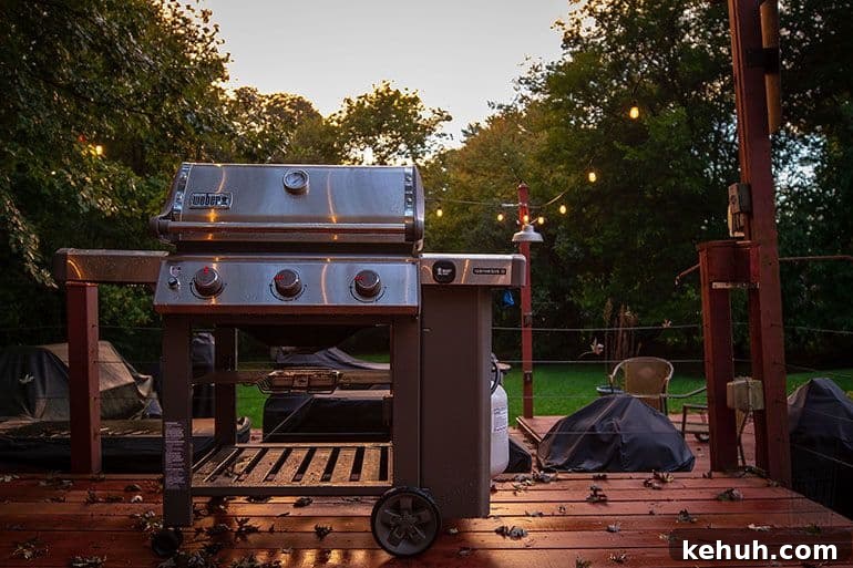 Top Grills for Beginners 2026: Top-Rated BBQ Picks & Reviews 3 Weber Genesis II E210