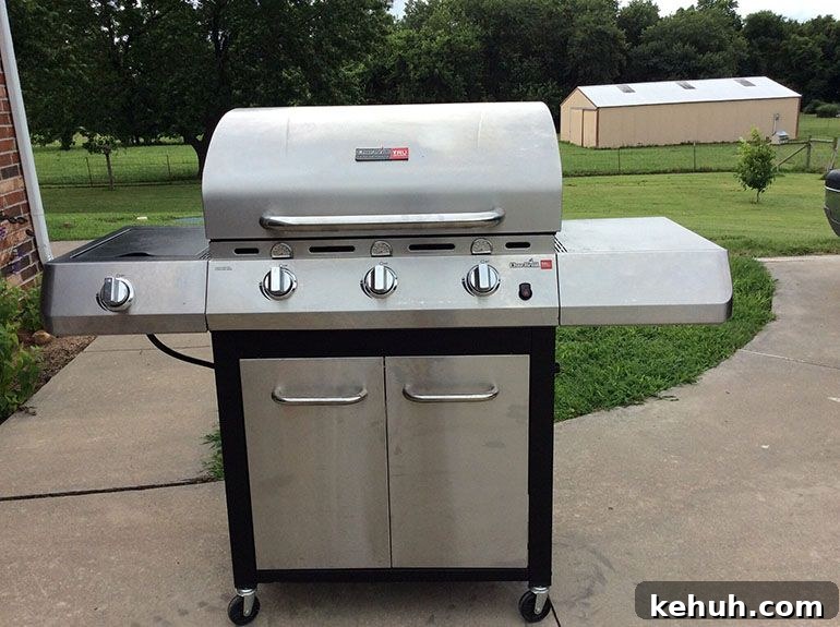 Top Grills for Beginners 2026: Top-Rated BBQ Picks & Reviews 13 Char Broil performance