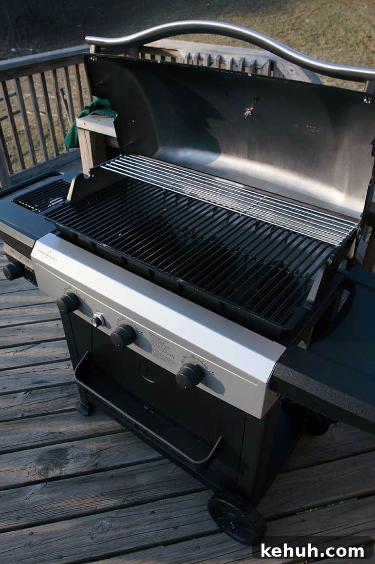 Top Grills for Beginners 2026: Top-Rated BBQ Picks & Reviews 4 Char Broil Classic 280