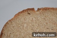 Sourdough Bread Recipe: Step-by-Step Guide for Homemade Loaves 4 Sourdough crumb tight