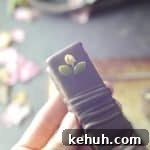 Magnesium Rich Chocolate Bars {High in magnesium and free from: gluten & grains, dairy, nuts, and refined sugar}