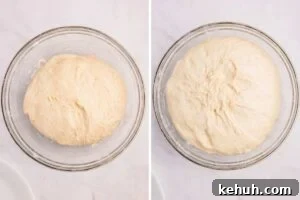 dough before and after rising
