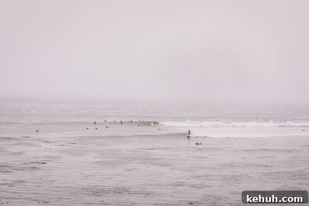 a view of surfers in the ocean in Santa Cruz on a foggy day