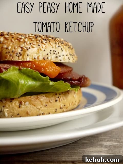 Homemade Tomato Ketchup Recipe You Can Make Today 2 Easy Peasy Home Made Tomato Ketchup Recipe - The Hedgecombers
