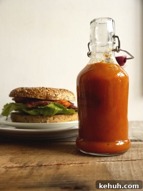 Homemade Tomato Ketchup Recipe You Can Make Today 3 Ketchup 2lw